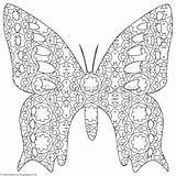 Butterfly Coloring Pages Intricate Detailed Getcolorings sketch template