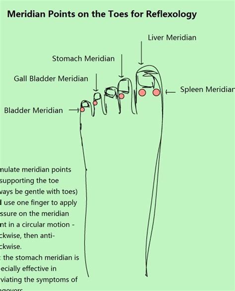 Pin By Raju On Massage Therapy Reflexology Chart Gall Bladder