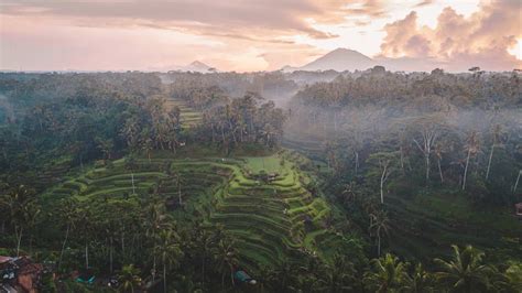 Tegalalang Rice Terrace Ubud The Complete 2020 Guide
