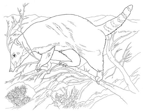 pig coloring page photo animal place