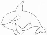 Orcas Orca Orka Kleurplaten Ballenas Pintar Dieren Plaatjes Wensen Plezier sketch template