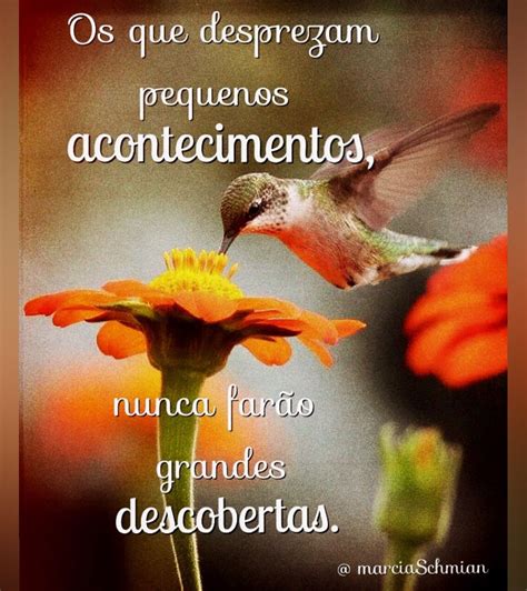bomdia frases citacoes reflexoes pensamentos