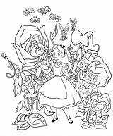 Alice Meraviglie Paese Colorare Disegni Coloring Kolorowanki Cantanti Kwiatami Alicja sketch template
