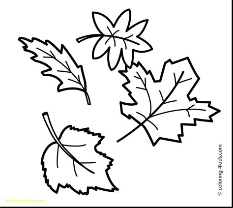 pumpkin leaves drawing  paintingvalleycom explore collection