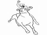 Bull Coloring Pages Printable Riding Bulls Chicago Bucking Drawing Color Ferdinand Matador Template Cowboy Sheet Draw Getdrawings Getcolorings Popular Last sketch template