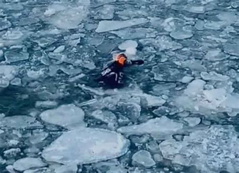 great arctic swim aims  highlight climate change utripscom