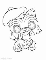 Coloring Pet Littlest Shop Pages Dog Printable Print Color Cartoon sketch template