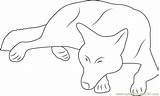 Wolf Coloring Sleep Pages Coloringpages101 Online sketch template