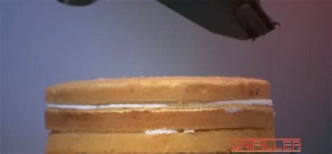 baking food porn find and share on giphy