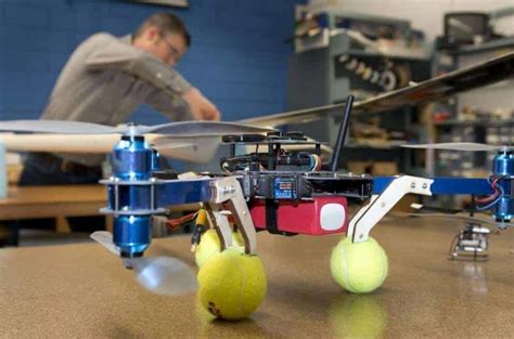 programming drones  fly  birds scienceblogcom