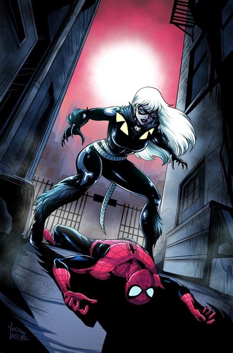 black cat vs spiderman by lucianovecchio with images
