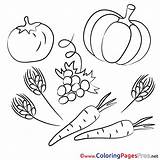 Coloring Vegetables Pages Kids Sheet Next Sheets sketch template