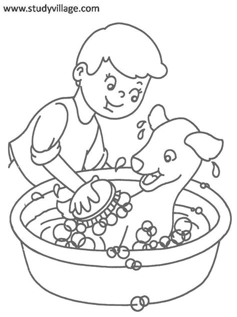 cute pets coloring page  kids