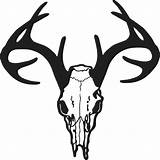 Skull Deer Stencil Cliparts Computer Designs Use Clip sketch template