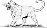 Leopard Coloring Pages Print Kids Color Animal sketch template