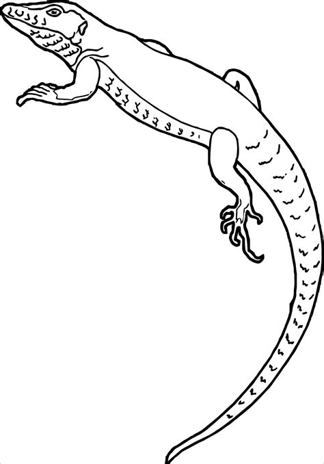 coloring pages lizard mandala chameleons  lizards coloring pages