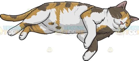 sleeping calico cat cartoon cat drawing calico cat cute animal