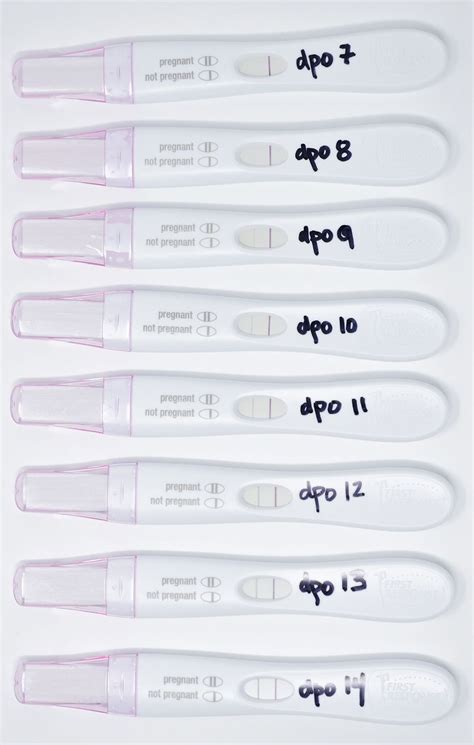 How Soon Can You Have A Positive Pregnancy Test Pregnancywalls