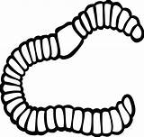 Worm Clipart Clip Earthworm Bookworm Drawings Inchworm Realistic Clipartmag Drawing Clipground Svg sketch template