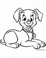 Dalmatian Dog Coloring Drawing 101 Pages Dalmatians Oddball Puppy Book Disney Cruella Getdrawings Gif sketch template