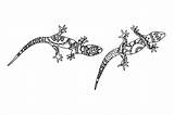 Mandala Lizard sketch template