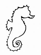 Outline Seahorse Drawing Coloring Horse Clip Clipart Sea Starfish Seahorses Easy Cartoon Cliparts Kids Grasshopper Drawings Template Draw Pages Horses sketch template