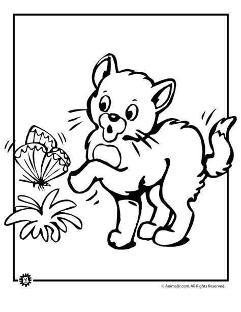 cat  butterfly coloring page woo jr kids activities childrens
