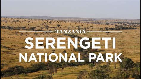 serengeti national park tanzania safari youtube