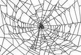 Spider Ausmalbilder Spinne Spinnen Cool2bkids Spinnennetz Ausdrucken sketch template