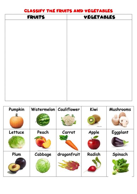 fruits  vegetables classify worksheet fruits  vegetables