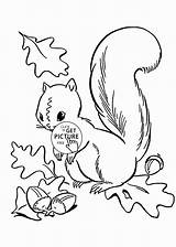 Coloring Squirrel Pages Leaves Jungle Acorn Fall Autumn Drawing Kids Cute Printable Line Sword Stone Sheets Template Getdrawings Wuppsy Getcolorings sketch template