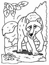 Kleurplaat Boze Kleurplaten Hond Wolven Serigala Mewarnai Bewegende Animaties Huilende Bergerak Lupi Animate sketch template