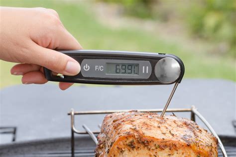 meat thermometer epicurious