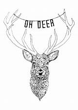 Stag Drawing Head Deer Illustration Getdrawings sketch template