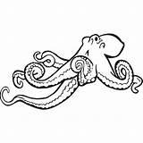 Coloring Book Octopus Clipart Drawing Line Make Library Simple sketch template