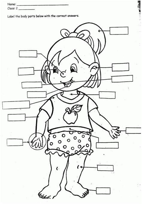 gambar coloring page home body parts pages kindergarten  rebanas