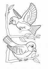 Para Colorear Oiseaux Coloriage Oiseau Aves Dessin Coloriages Colorier Animaux Birds Biz Du Imprimer sketch template