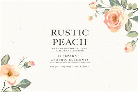 Flower Collection Rustic Peach ~ Illustrations ~ Creative  