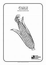 Coloring Corn Pages Vegetables Cool Plants sketch template
