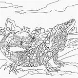 Coloring Reptile Barbara sketch template
