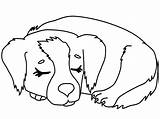 Coloring Puppy Pages Dog Printable Print sketch template