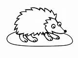 Porcupine Clipartmag sketch template