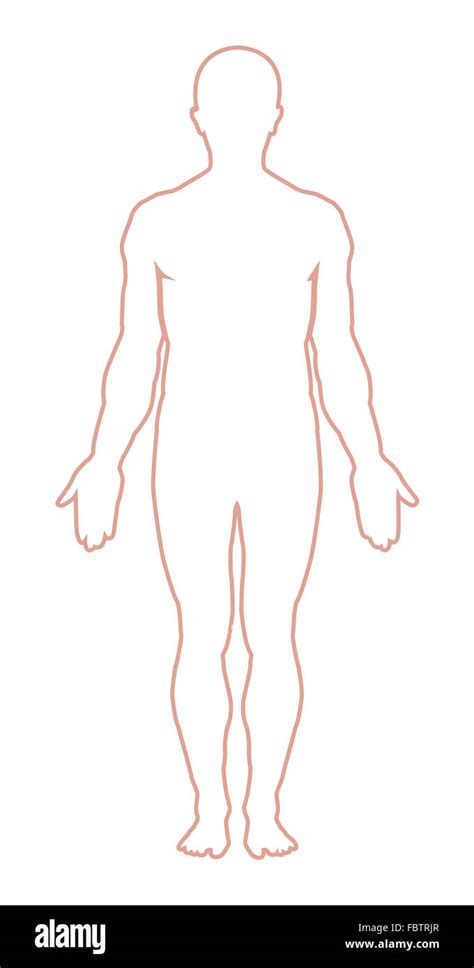 male body outline