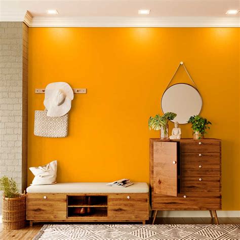 orange appeal wall painting colour  paint colour shades  asian