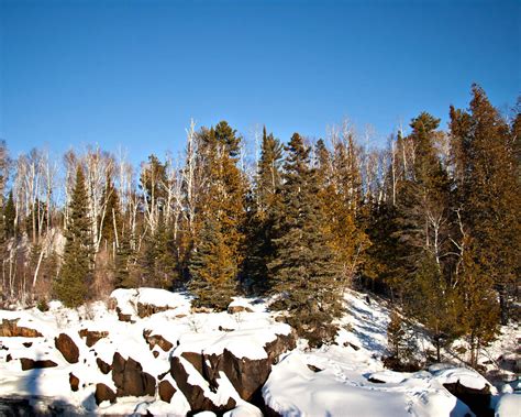 canadian shield  canadian shield  winter showing coni flickr