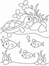 Fish Tartaruga Colorir Coloritura Pesce Peixes Desenhos Lagos Michigan Ponds Illustrazione Páginas Moldes sketch template