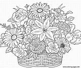Coloring Pages Adult Flowers Adults Flower Printable Spring Cute Print Basket Bouquet Sheets Online Books Colouring Advanced Color Book Ausmalbilder sketch template