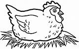 Hen Chicken Coloring Pages Fried Little Red Kids Printable Getcolorings Color Print Tasty sketch template