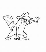 Coloring Platypus Perry Pages Phineas Agent Ferb Oobi Noggin Cute Book Template Step Visit Popular Baby sketch template