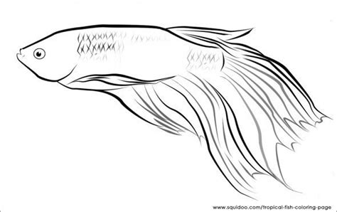 tropical fish coloring page image search results fish coloring page